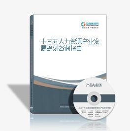 人力资源服务业的黄金五年——十三五人力资源产业发展规划咨询报告